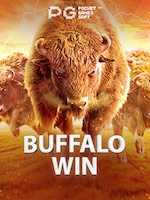 Buffalo-Win icon