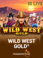 Wild West Gold icon